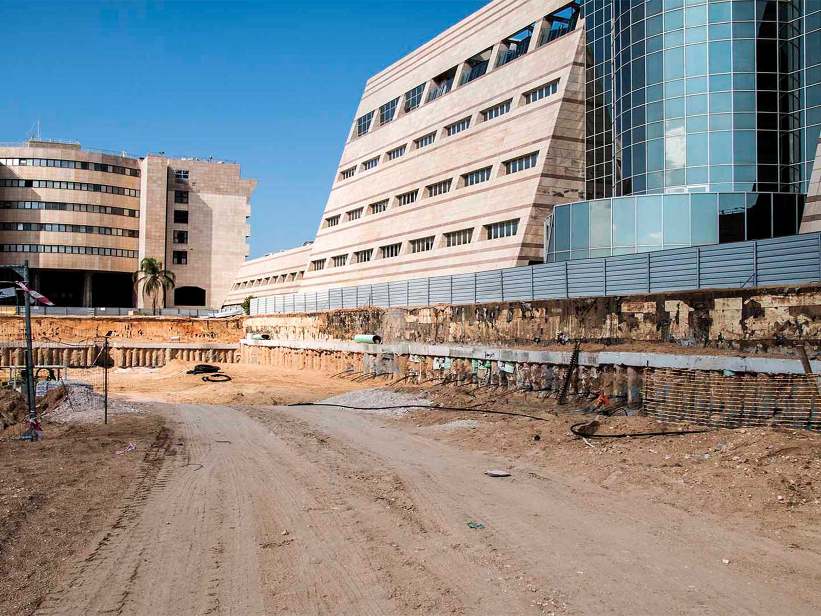 שיבא-ראשי